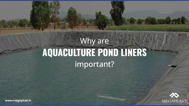 Why are Aquaculture pond liners important?