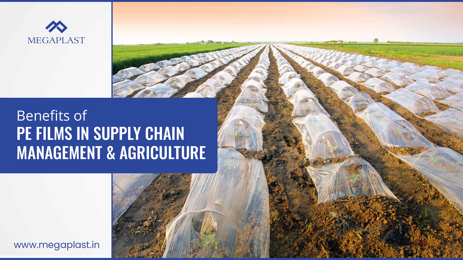 Benefits of PE Films in Supply Chain Management & Agriculture